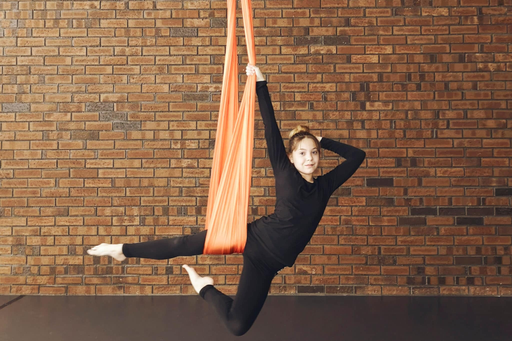 AERIAL SILK