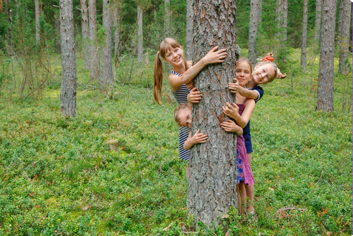 NATURWALD MIT DEM REVIERFÖRSTER
